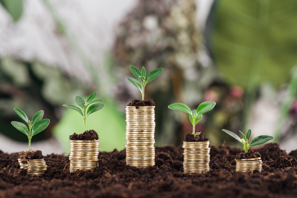 Steps to generating passive income